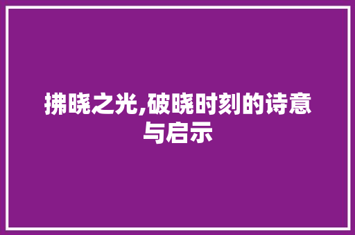 拂晓之光,破晓时刻的诗意与启示