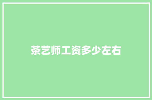 茶艺师工资多少左右