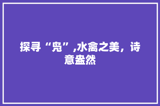 探寻“凫”,水禽之美，诗意盎然