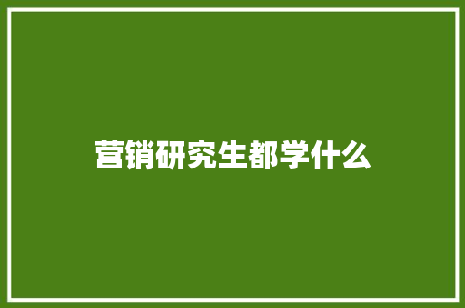 营销研究生都学什么