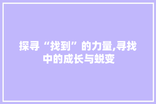 探寻“找到”的力量,寻找中的成长与蜕变