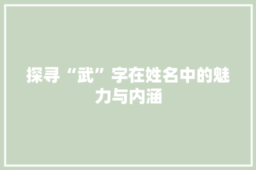 探寻“武”字在姓名中的魅力与内涵