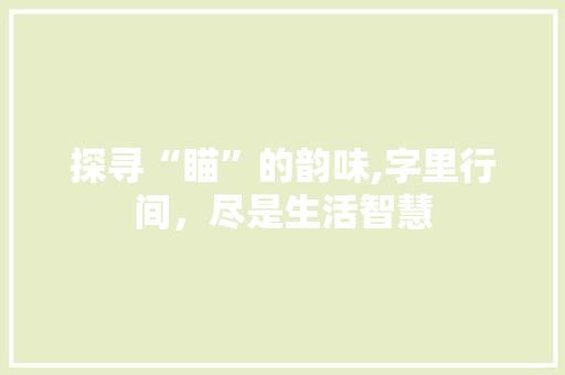 探寻“瞄”的韵味,字里行间，尽是生活智慧