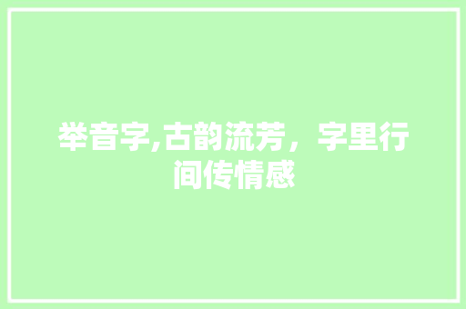 举音字,古韵流芳，字里行间传情感