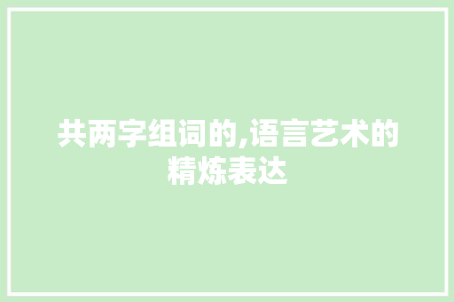 共两字组词的,语言艺术的精炼表达