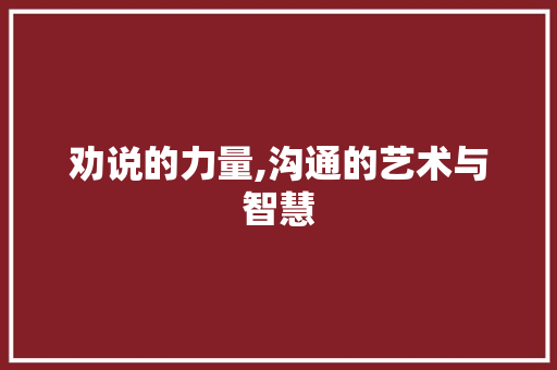 劝说的力量,沟通的艺术与智慧