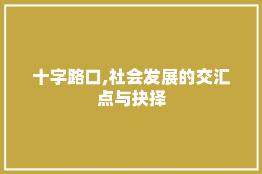 十字路口,社会发展的交汇点与抉择