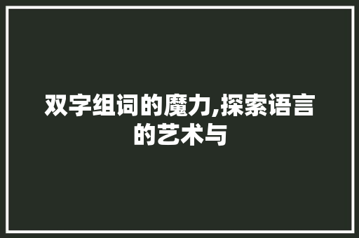 双字组词的魔力,探索语言的艺术与
