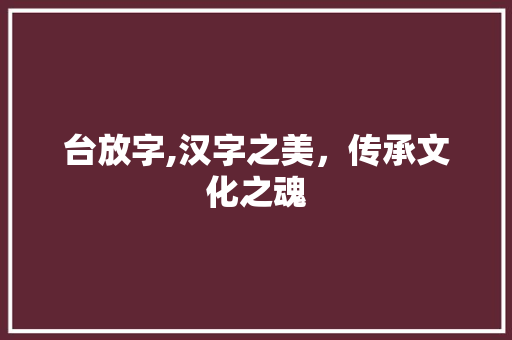 台放字,汉字之美，传承文化之魂