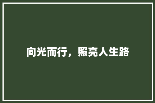 向光而行，照亮人生路