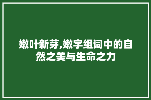 嫩叶新芽,嫩字组词中的自然之美与生命之力