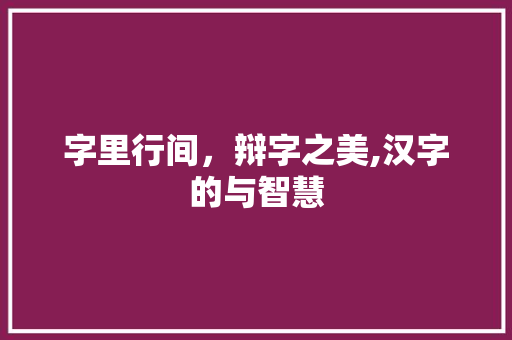 字里行间，辩字之美,汉字的与智慧