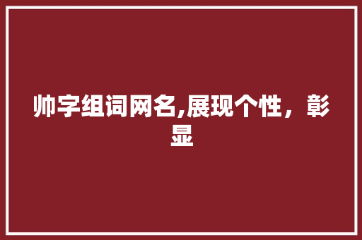 帅字组词网名,展现个性，彰显