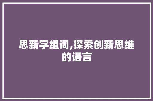 思新字组词,探索创新思维的语言