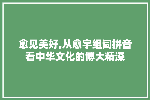 愈见美好,从愈字组词拼音看中华文化的博大精深