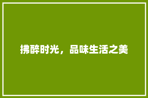 拂醉时光，品味生活之美
