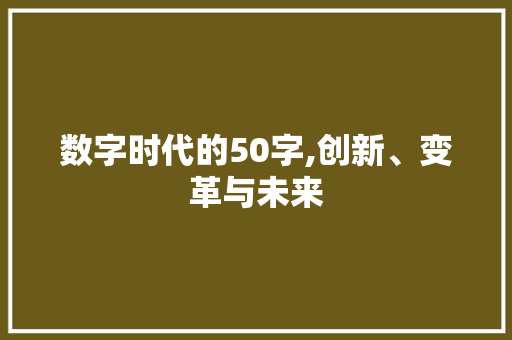数字时代的50字,创新、变革与未来
