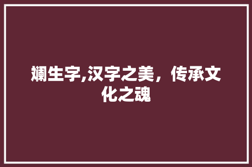 斓生字,汉字之美，传承文化之魂