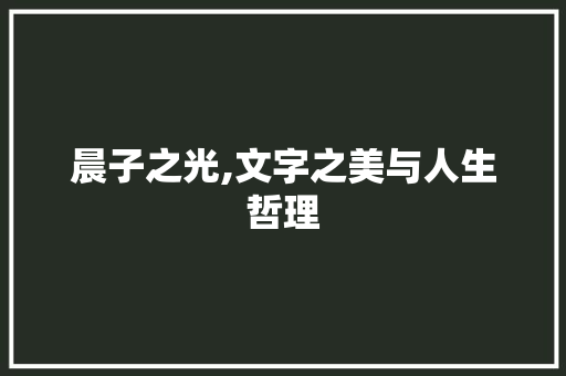 晨子之光,文字之美与人生哲理