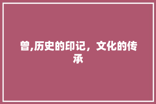 曾,历史的印记，文化的传承