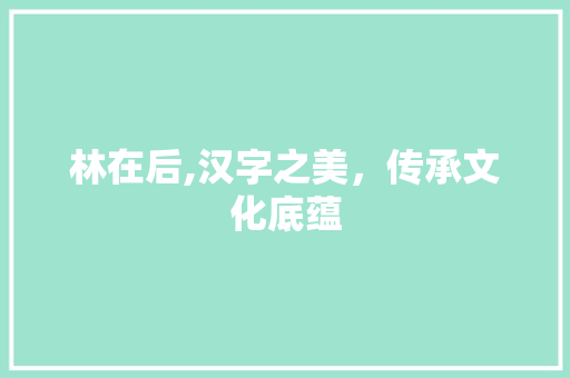 林在后,汉字之美，传承文化底蕴
