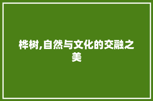 桦树,自然与文化的交融之美