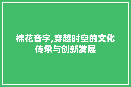 棉花音字,穿越时空的文化传承与创新发展