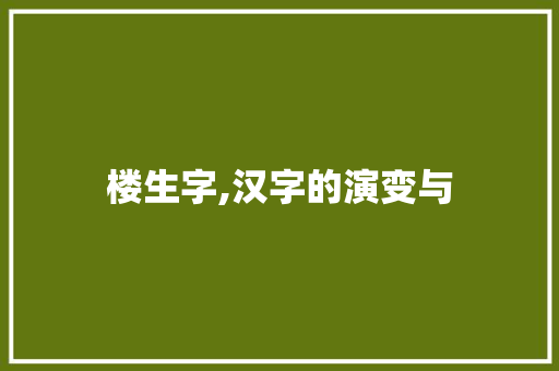 楼生字,汉字的演变与