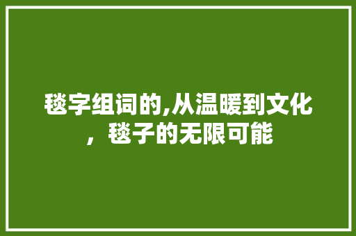 毯字组词的,从温暖到文化，毯子的无限可能