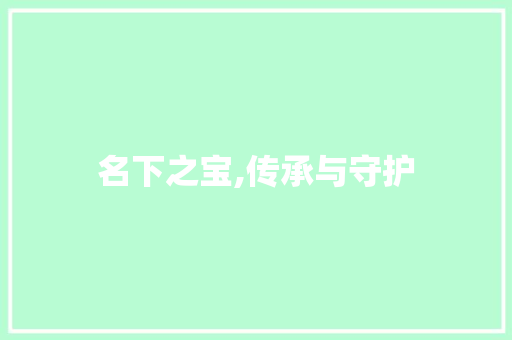 名下之宝,传承与守护