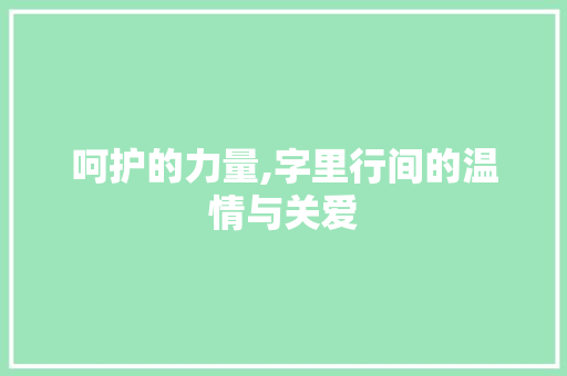 呵护的力量,字里行间的温情与关爱