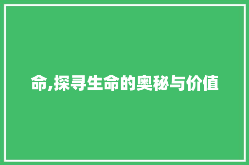 命,探寻生命的奥秘与价值