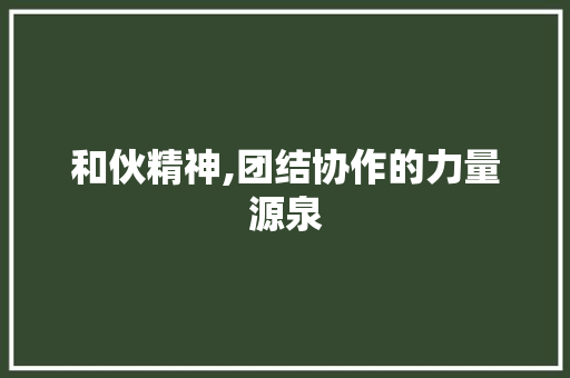 和伙精神,团结协作的力量源泉