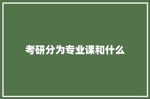 考研分为专业课和什么