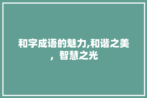 和字成语的魅力,和谐之美，智慧之光