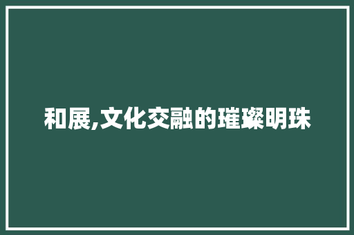 和展,文化交融的璀璨明珠