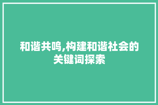 和谐共鸣,构建和谐社会的关键词探索