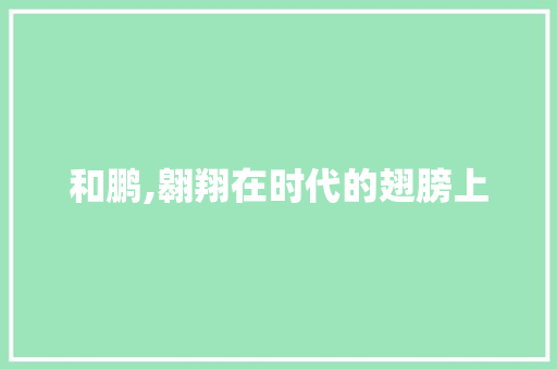 和鹏,翱翔在时代的翅膀上
