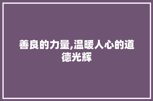 善良的力量,温暖人心的道德光辉