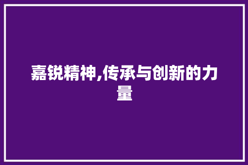 嘉锐精神,传承与创新的力量