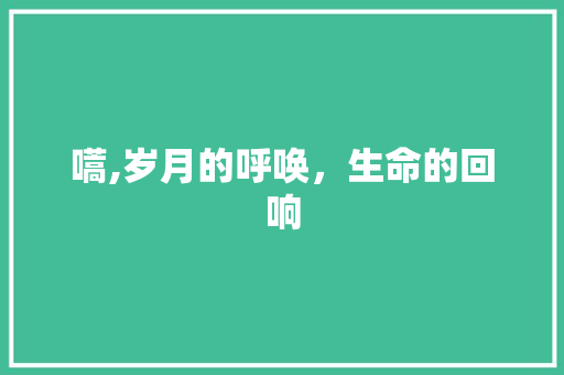 嚆,岁月的呼唤，生命的回响