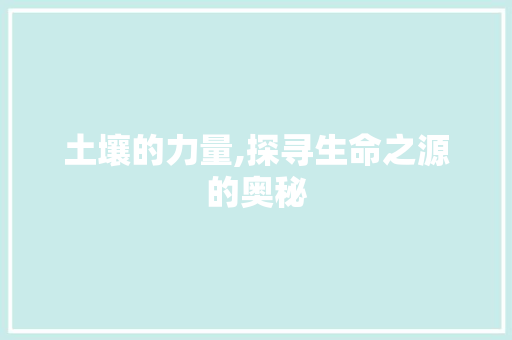 土壤的力量,探寻生命之源的奥秘
