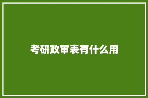考研政审表有什么用