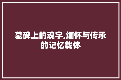 墓碑上的魂字,缅怀与传承的记忆载体