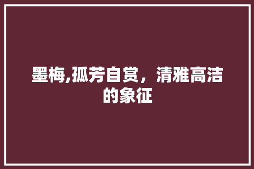 墨梅,孤芳自赏，清雅高洁的象征