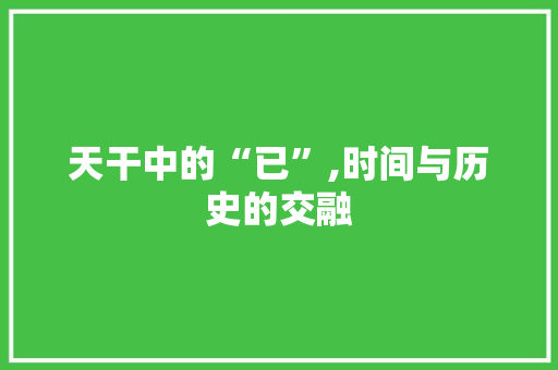 天干中的“已”,时间与历史的交融