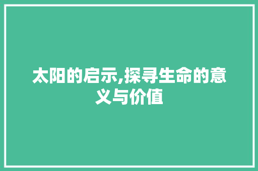 太阳的启示,探寻生命的意义与价值