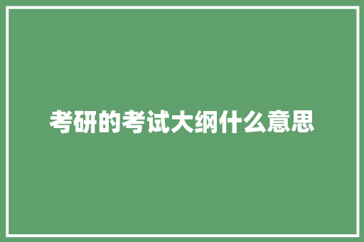考研的考试大纲什么意思