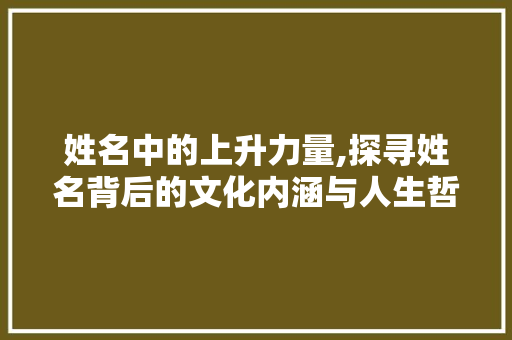 姓名中的上升力量,探寻姓名背后的文化内涵与人生哲理
