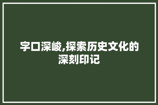 字口深峻,探索历史文化的深刻印记
